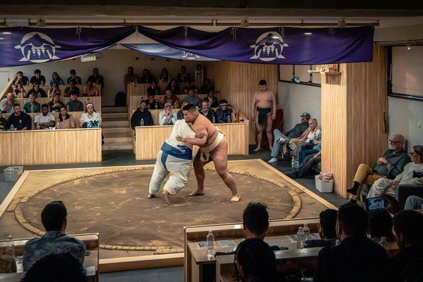 Tokyo Shinjuku Sumo Show & Experience with Photo 2