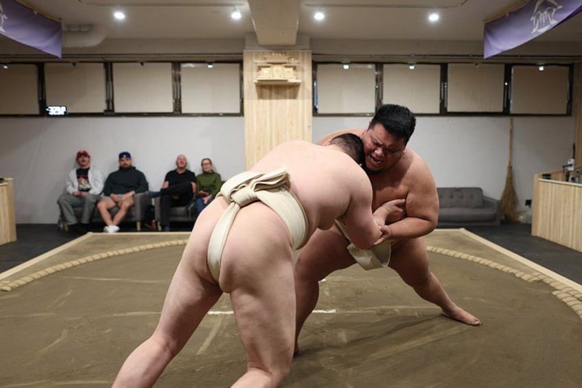 Tokyo Shinjuku Sumo Show & Experience with Photo 2