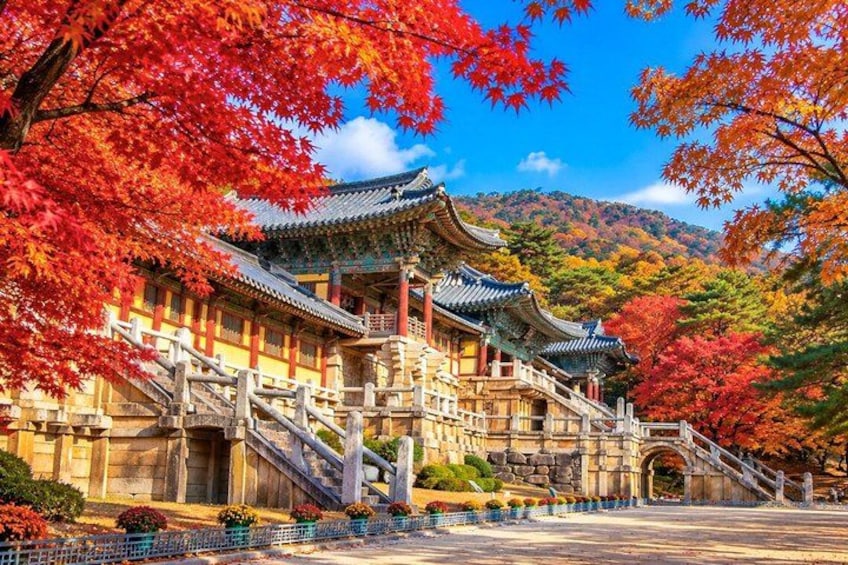 From Busan to Gyeongju UNESCO Authentic Tour 2