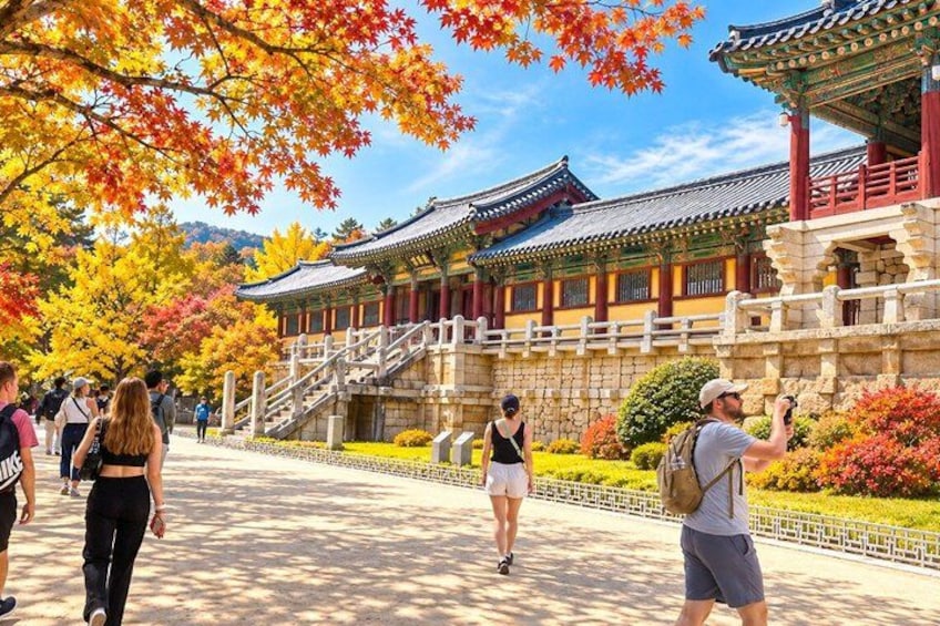 From Busan to Gyeongju UNESCO Authentic Tour 3