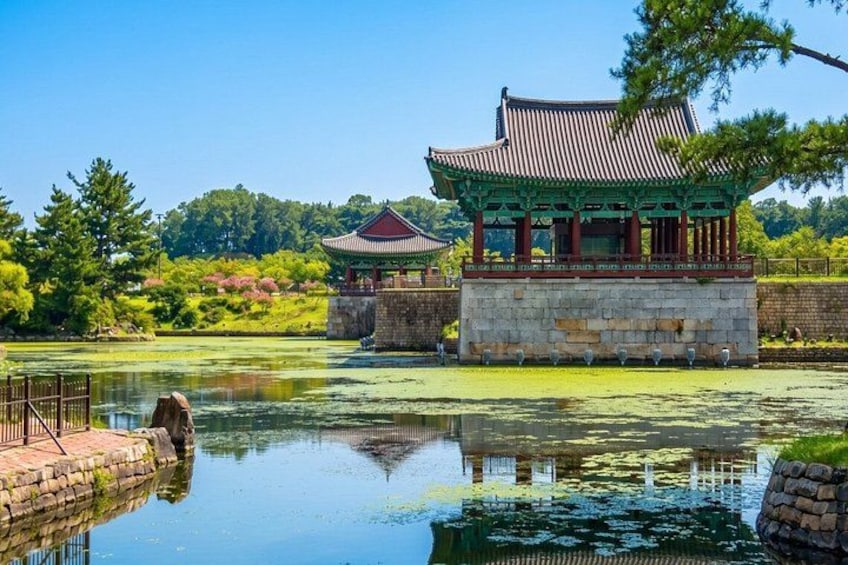 From Busan to Gyeongju UNESCO Authentic Tour 2
