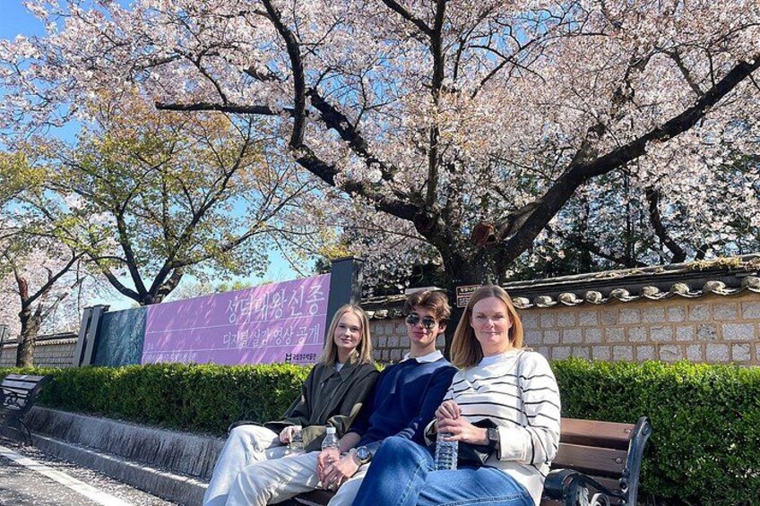 From Busan to Gyeongju UNESCO Authentic Tour 2