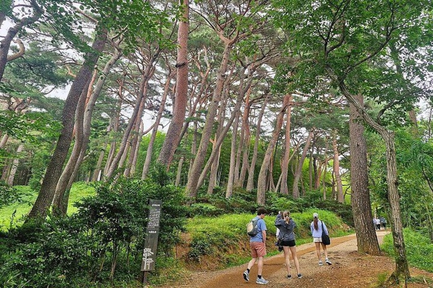 From Busan to Gyeongju UNESCO Authentic Tour 3