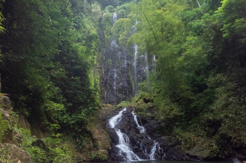 A waterfall cascading through a lush forest. 1