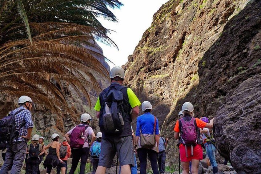 A group of hikers on a rocky trail with palm trees and steep cliffs. 2