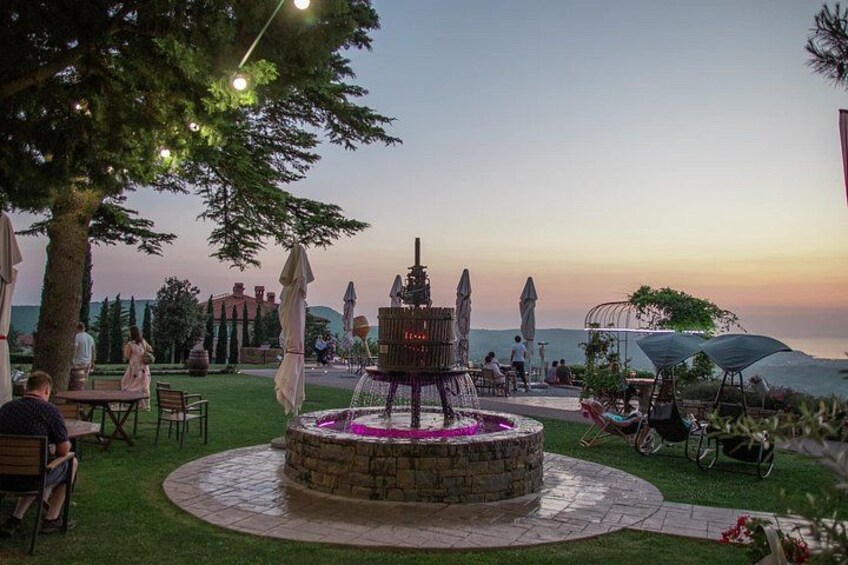 Piran walking tour & Wine Treasures in the Istrian Hinterlands 4