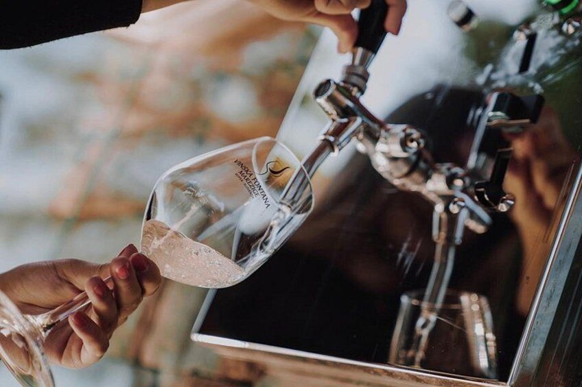 Piran walking tour & Wine Treasures in the Istrian Hinterlands 3