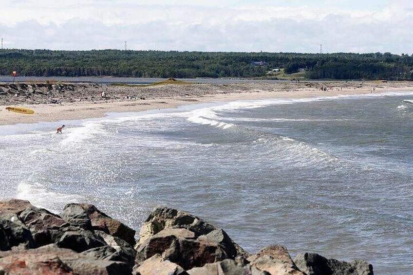 A beach with waves, rocks, and a forested area in the background. 4