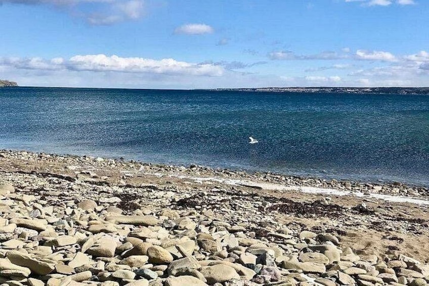 A rocky beach with calm sea and a clear sky. 3