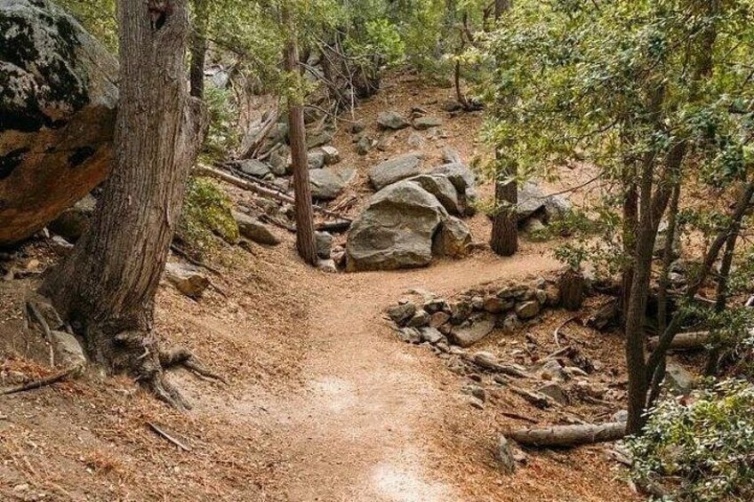 Idyllwild Day Tour 2