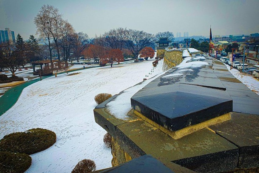 Suwon Fortress and Palace Walk with Optional Food Experience 2