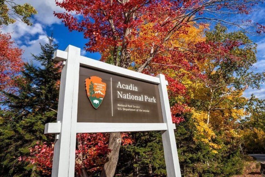“Classic Acadia” Private Tour: Cadillac Mountain & Thunder Hole 2
