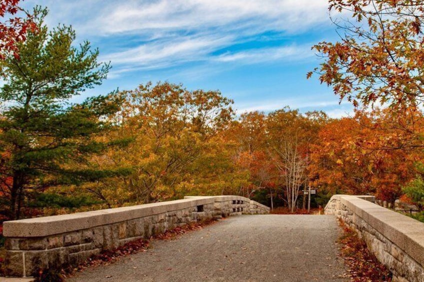 “Classic Acadia” Private Tour: Cadillac Mountain & Thunder Hole 3
