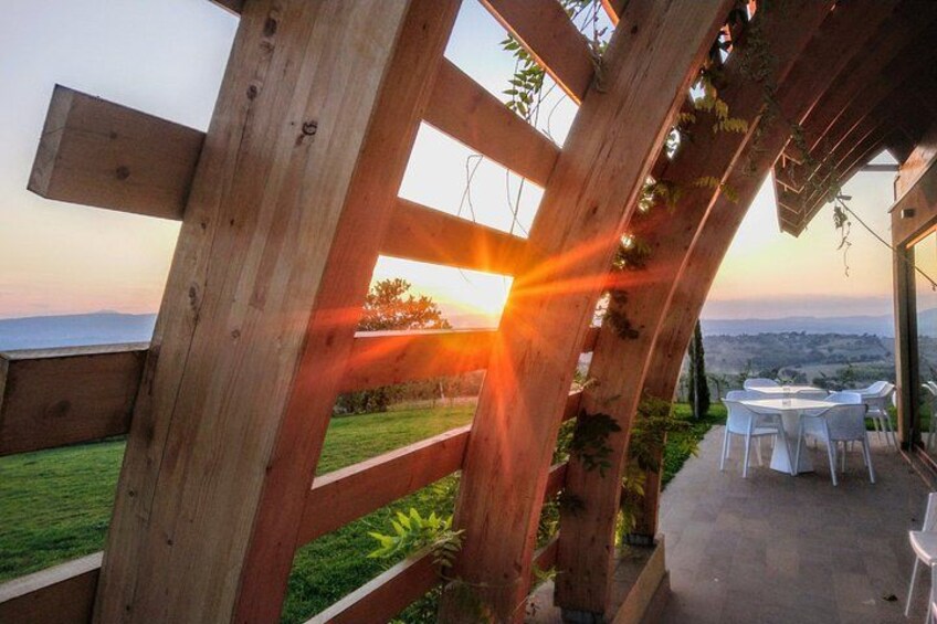 En træpergola med udsigt til solnedgangen over en græsplæne og et fjerntliggende landskab. 2