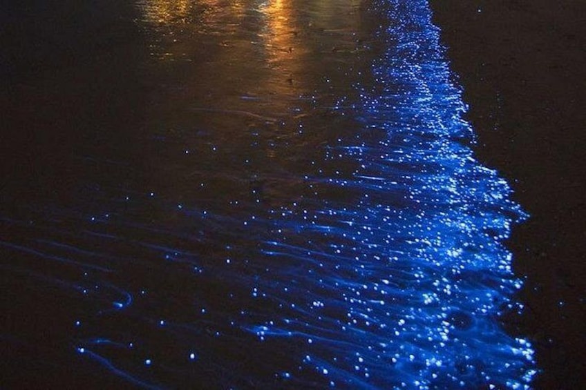 A beach at night with a blue light reflecting on the water. 1