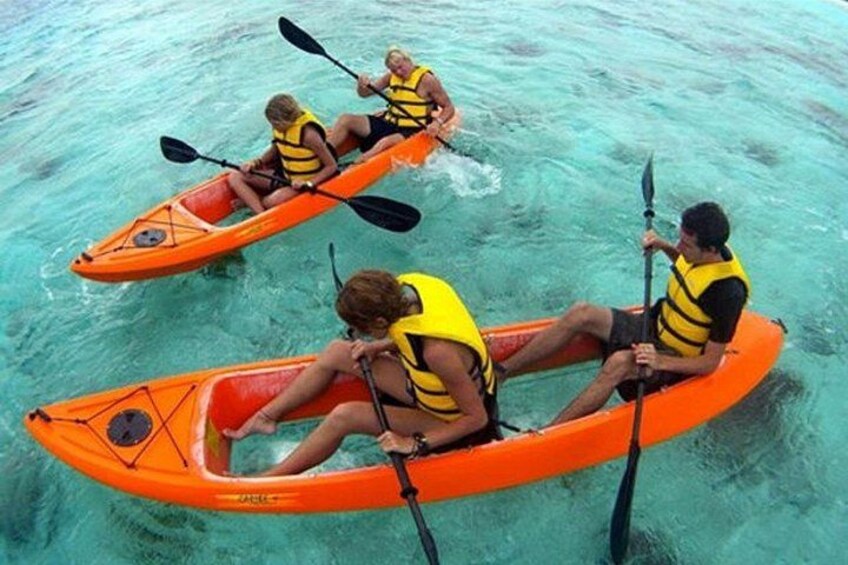 We have clear bottom kayaks to better observe the bioluminescence. 5