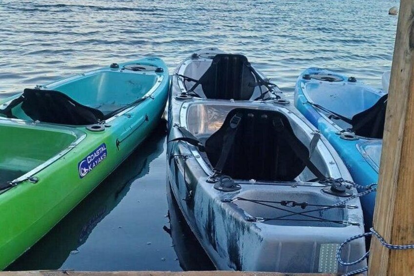 We have clear bottom kayaks to better observe the bioluminescence. 3