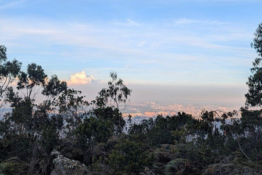 A cityscape with a clear sky, dense foliage, and a prominent cloud formation. 3