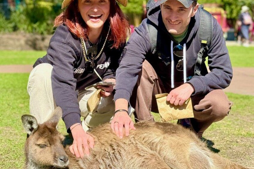 Baby Animals, Boomerangs and BBQ Lunch 4