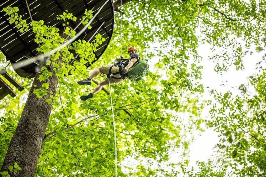 A person bungee jumping from a tree with a safety harness. 2