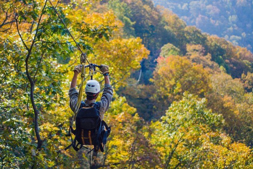 A person suspended in mid-air, harnessed to a cable, with a forested mountain landscape in the background. 4