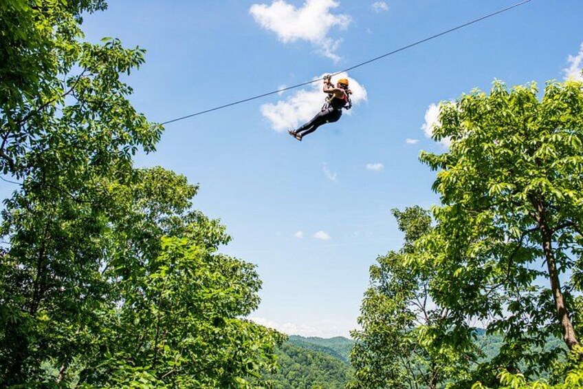 A person zip-lining through a forested area with trees on either side. 2