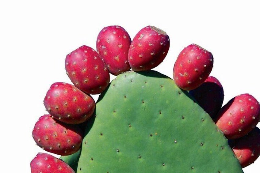 Mexico's Tropical Fruit Guided Tasting in Mexico City 5