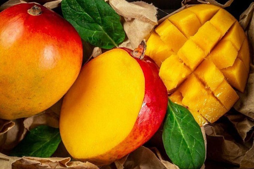Mexico's Tropical Fruit Guided Tasting in Mexico City 2