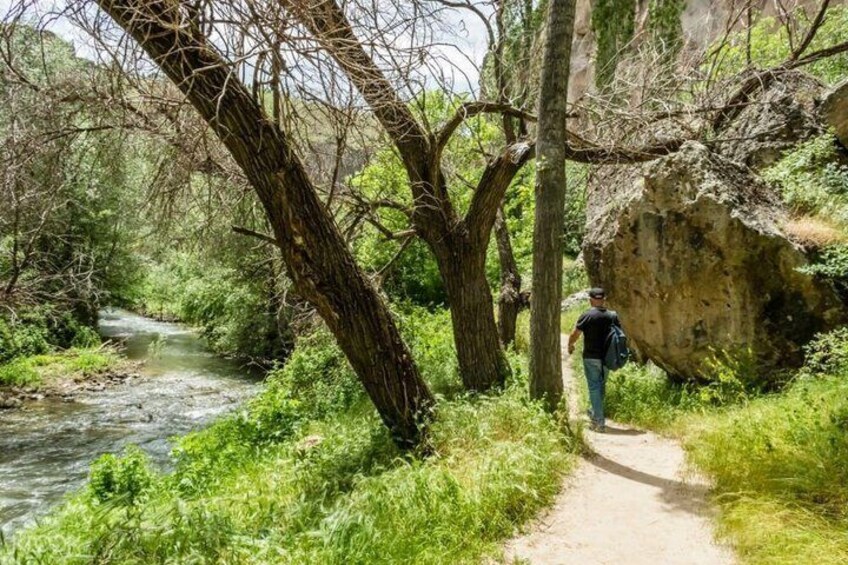 Una persona camina por un sendero de tierra junto a un río, rodeada de árboles y vegetación. 4
