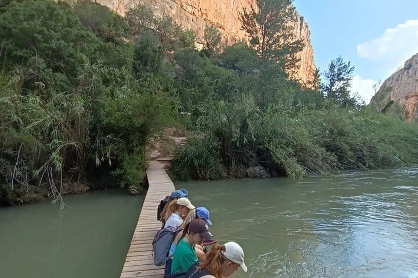 Chulilla Hanging Bridges Hike & Turia Canyon Tour from Valencia 3