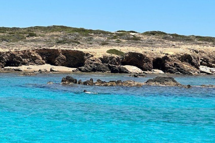 Half Day Cruise Explore Paros Antiparos and Despotiko 2