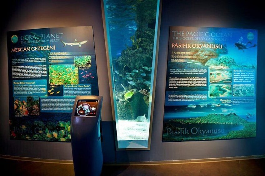 Informational panels about coral reefs and the Pacific Ocean. 3