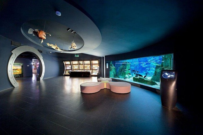 A modern aquarium with a large fish tank, seating areas, and a unique ceiling design. 4