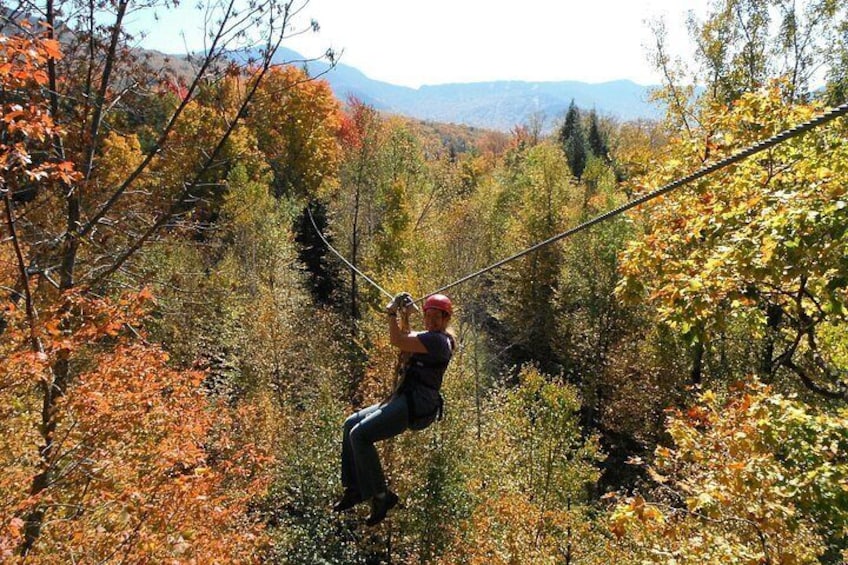 A person zip-lining through a forest with autumn foliage. 3