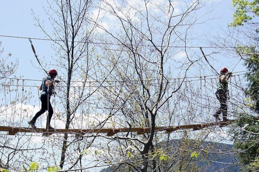Two people walking on a suspended bridge in a forested area. 2
