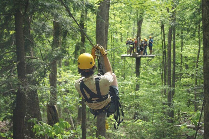 Een persoon in een bos, met helm en harnas, maakt zich klaar voor een zipline-activiteit. 2