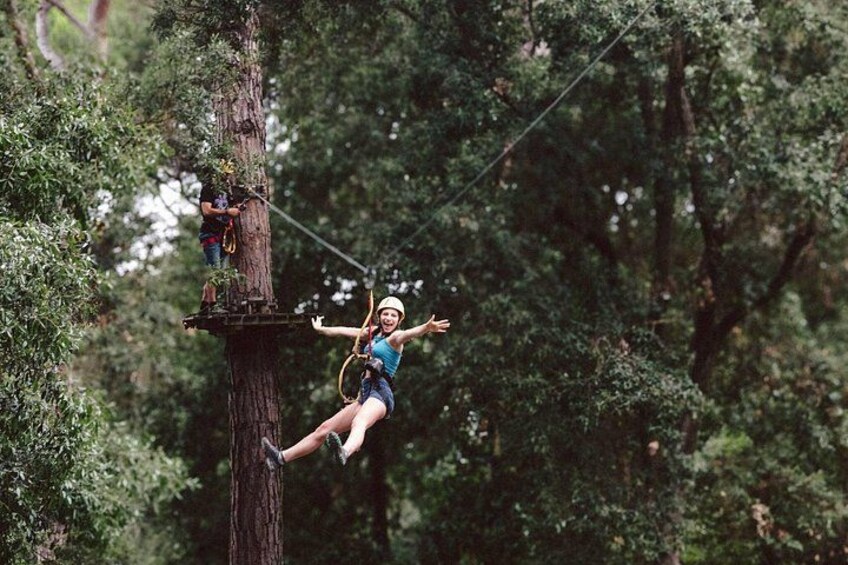 Adventure Park Il Pineto 2