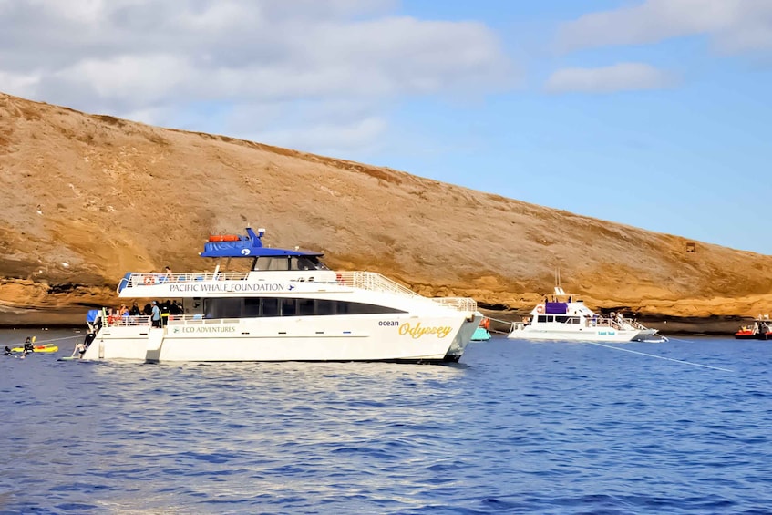Picture 2 for Activity Maui: Eco-Friendly Molokini & Turtle Town Tour with Meals 4