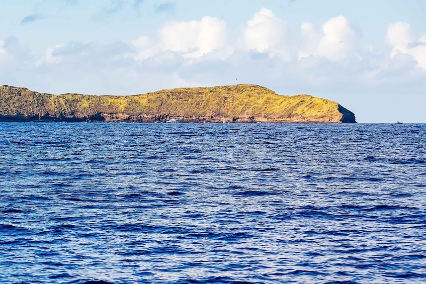 Picture 11 for Activity Maui: Eco-Friendly Molokini & Turtle Town Tour with Meals 3