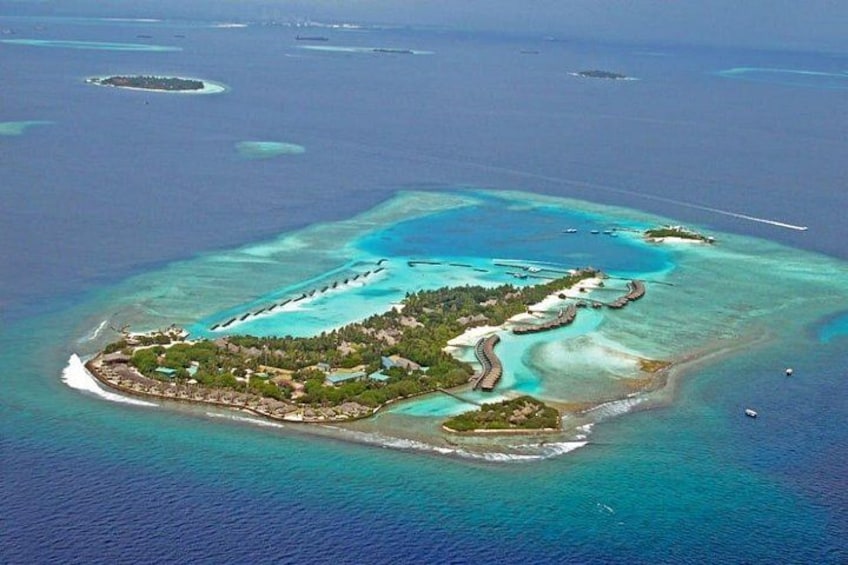 Maldives Dolphin Discovery Cruise by Speedboat 4
