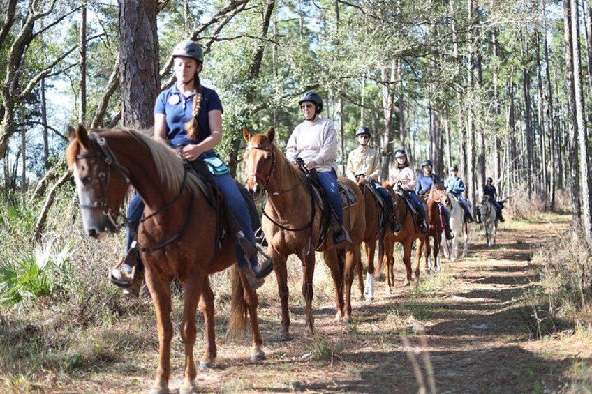 Horses and riders on a beautiful shaded trail! 1