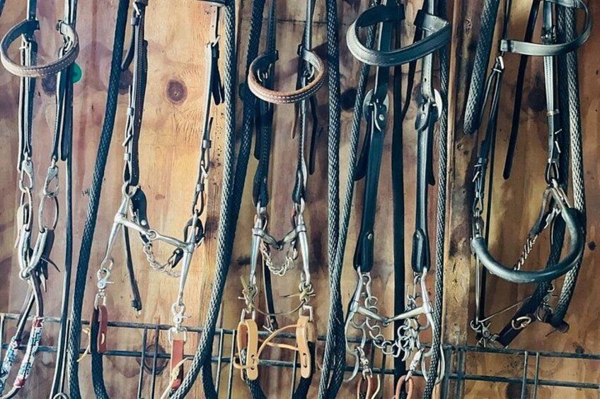 Tools of the trade. 2