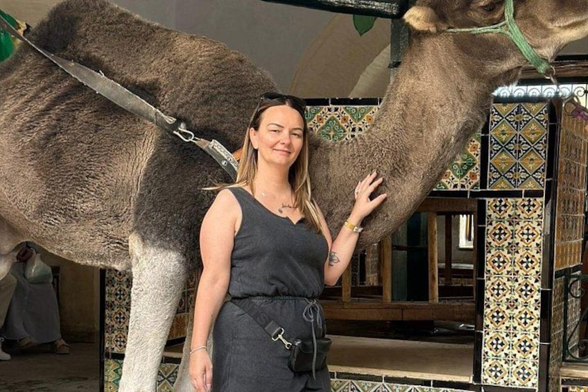 Private Luxury Tour: Kairouan, El Jem & Monastir or Sousse 3