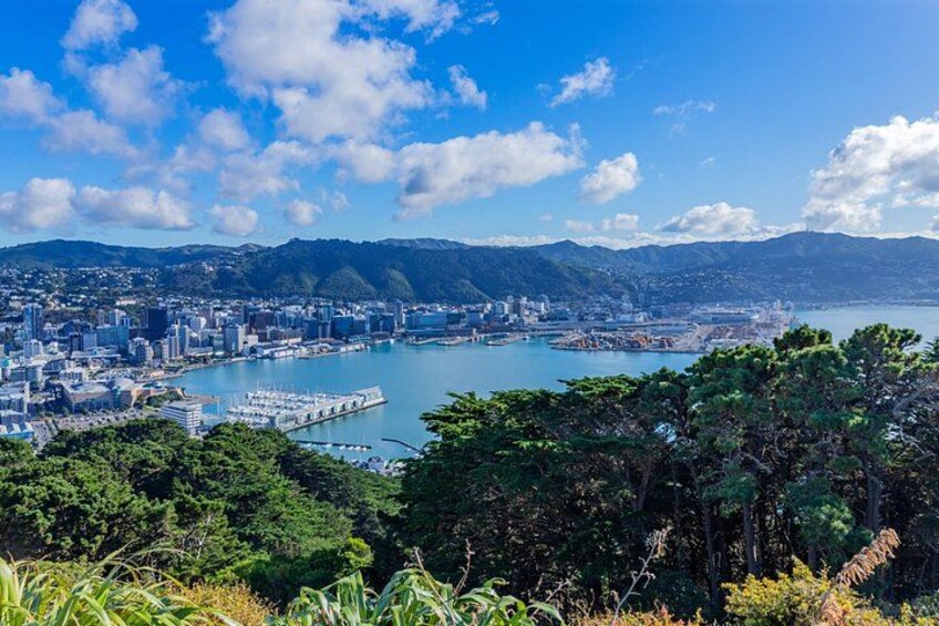 Wellington Hiking Tour - Mount Victoria 4