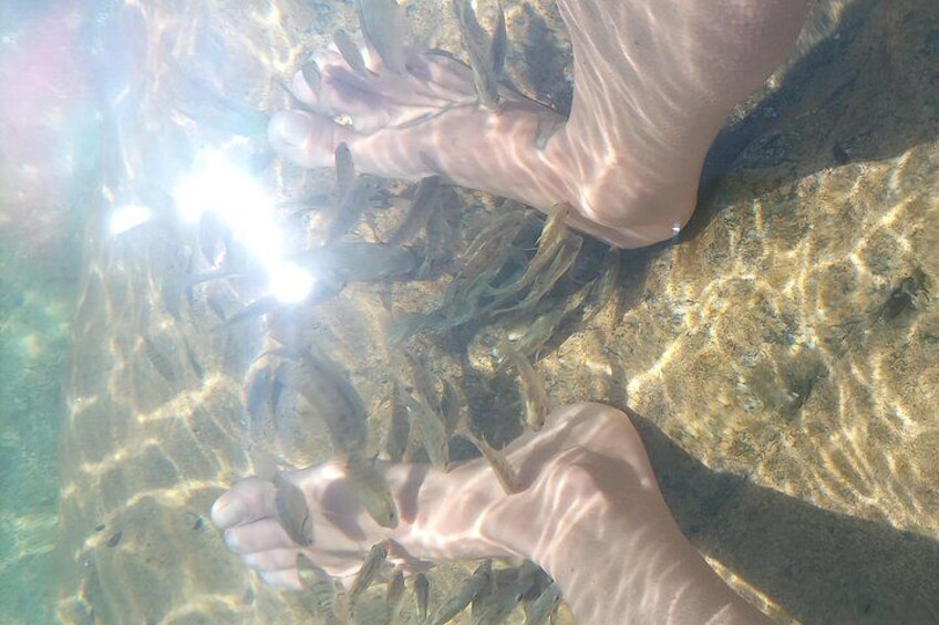 Une personne tenant un poisson dans de l’eau claire. 4