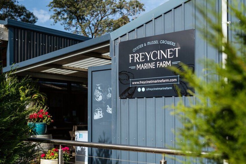 A Day in Wineglass Bay - Launceston to Hobart 2