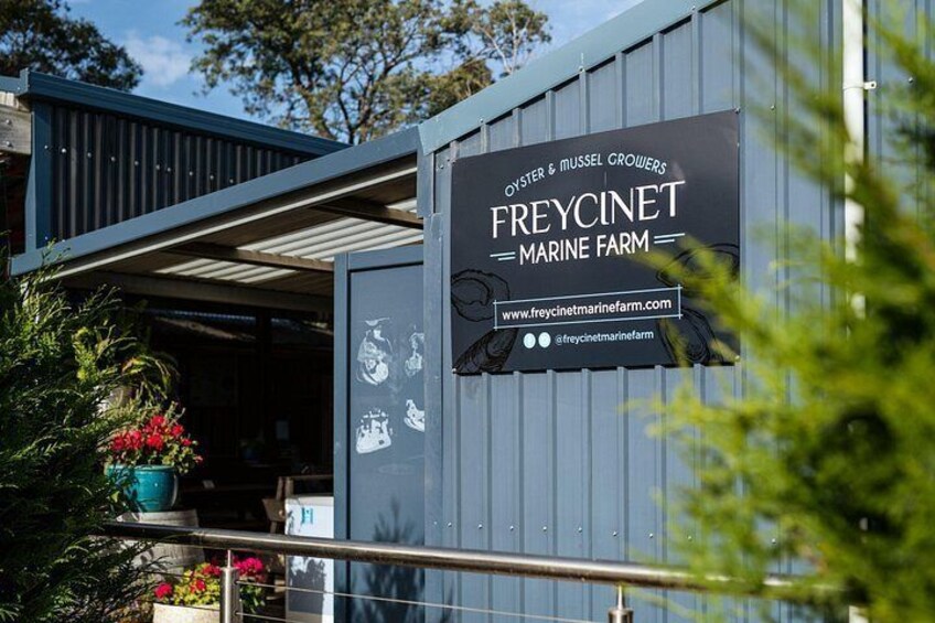 A Day in Wineglass Bay - Launceston to Hobart 3