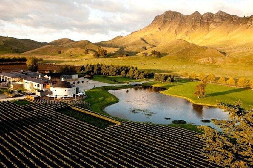 Craggy Range Deluxe - Hawke's Bay Wine Tour 1
