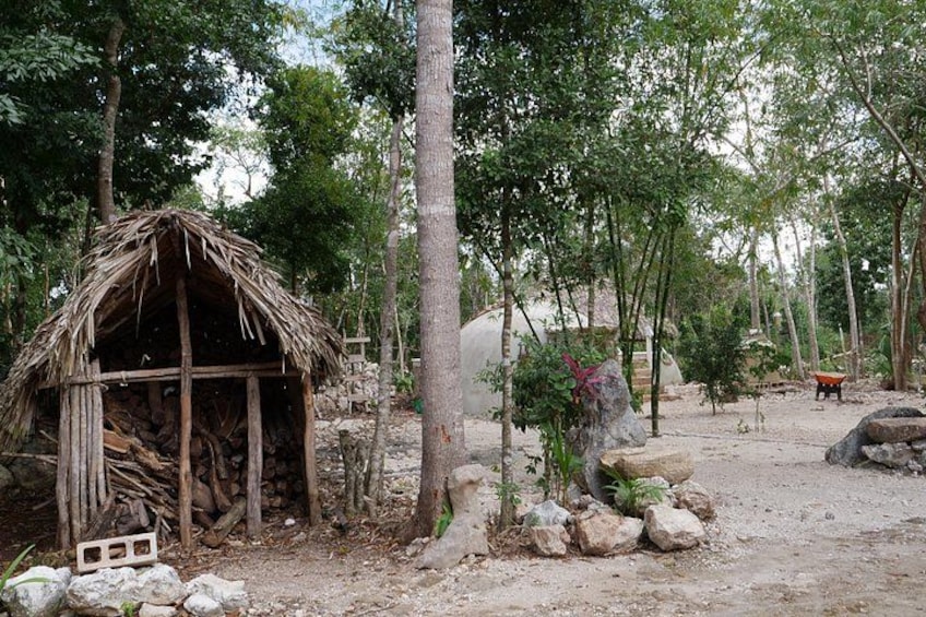 Cobá Ruins Mayan Village and Cenote Tour from Riviera Maya 2
