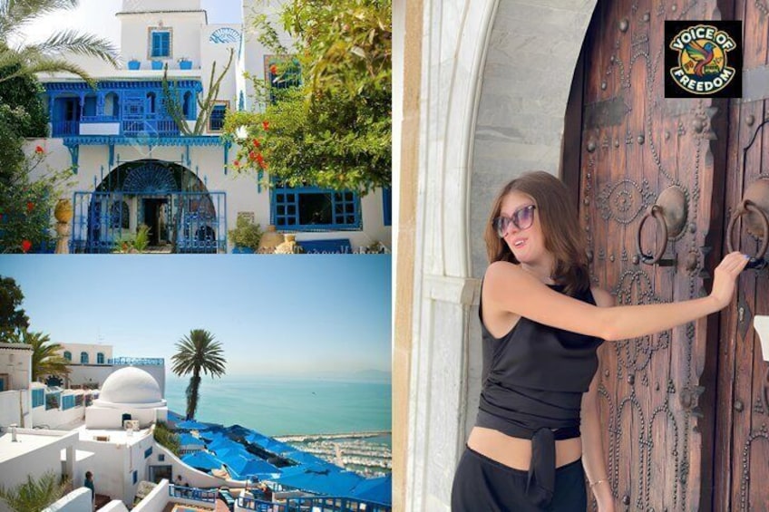 Private Day Trip: Carthage, Blue & White Sidi Bou Said & More 1